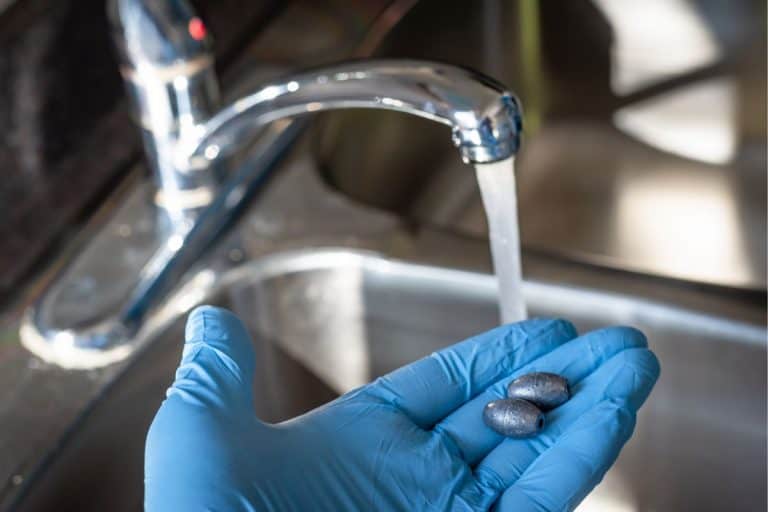 Is Hawai'i Tap Water Safe To Drink?