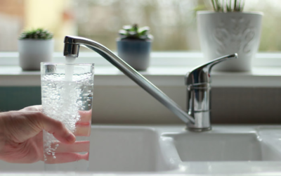 Detroit tap water quality