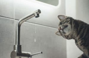 What Causes a Loss of Water Pressure in House Plumbing