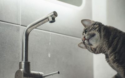 sudden loss of water pressure in house plumbing
